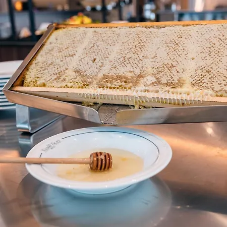 Waldorf Palace קאטוליקה