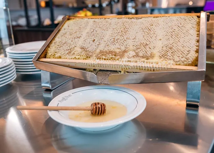 Waldorf Palace Cattolica